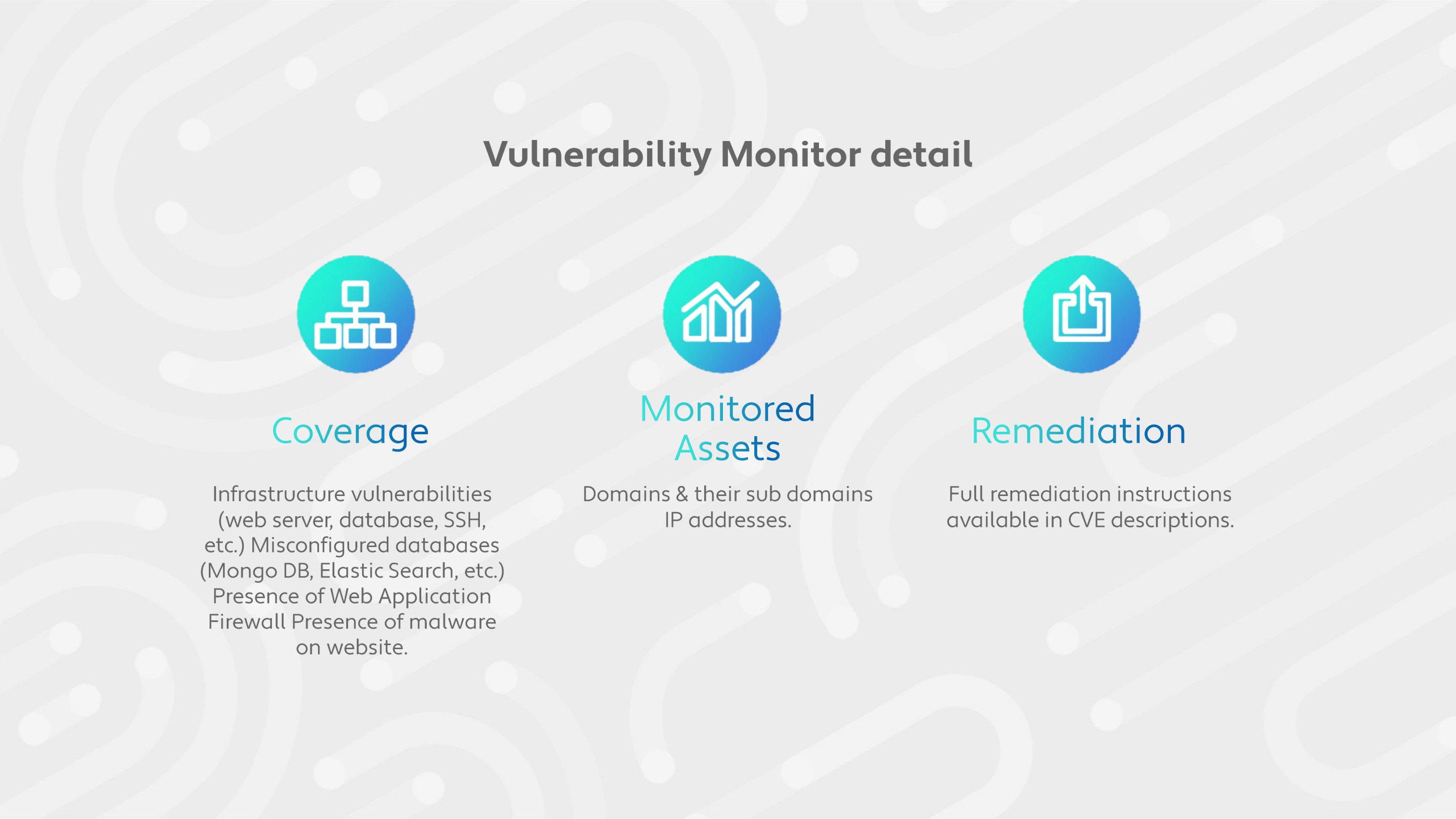 Vulnerability Monitor detail: coverage, monitored assets, remediation guidance.